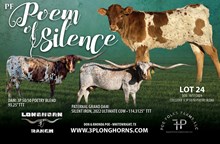 PF POEM OF SILENCE